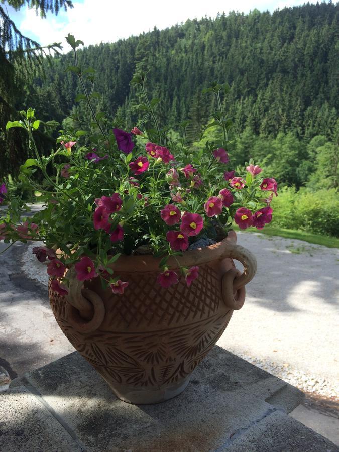 维特科夫狩猎山林小屋 索科洛夫 外观 照片